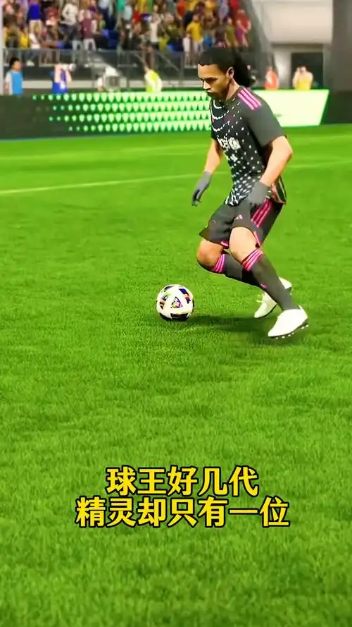 他的网前技