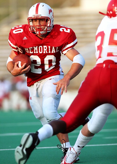 郑智与许家 郑智与许家