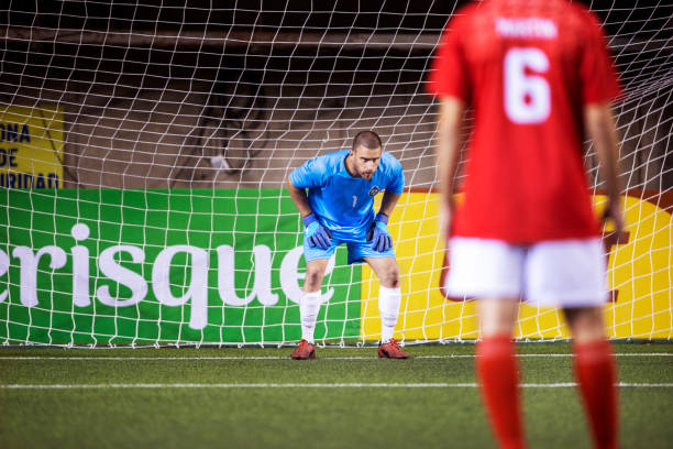 致力于发展 致力于发展